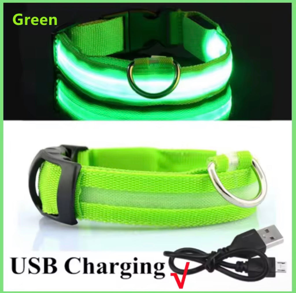 Adjustable Led Glowing Dog Collar