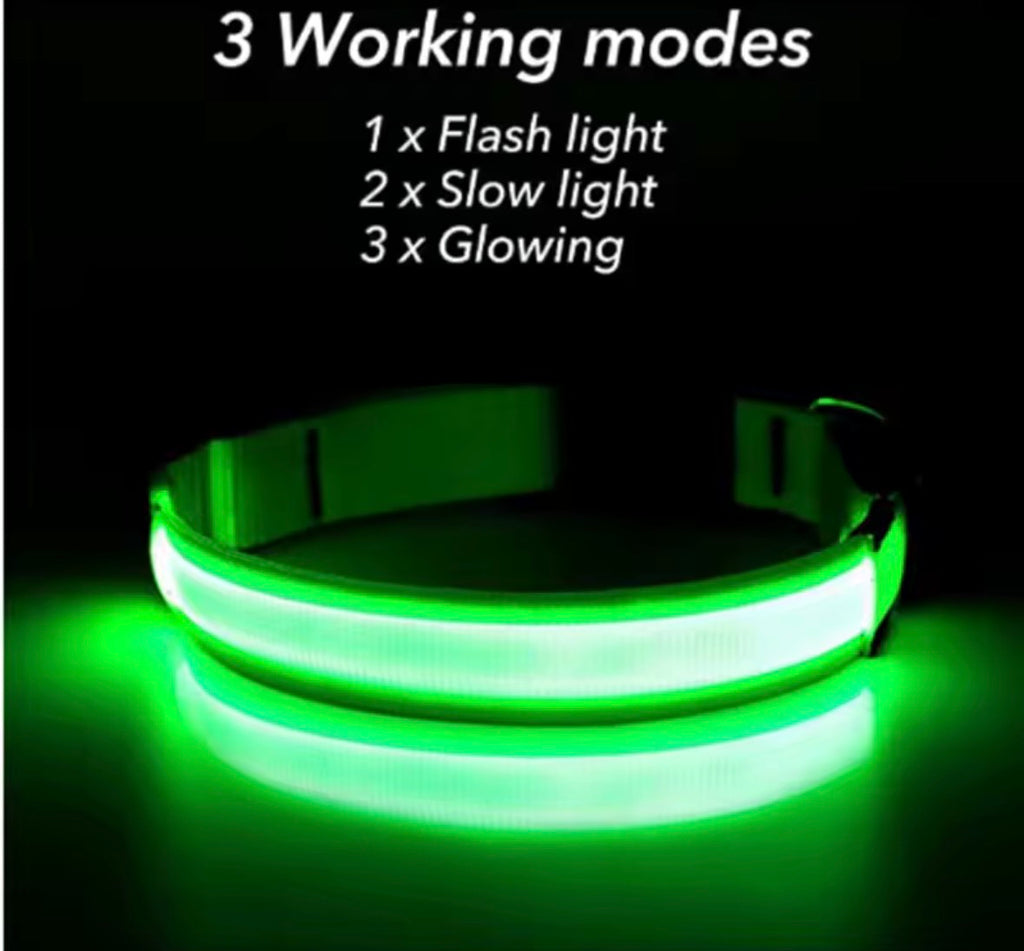 Adjustable Led Glowing Dog Collar