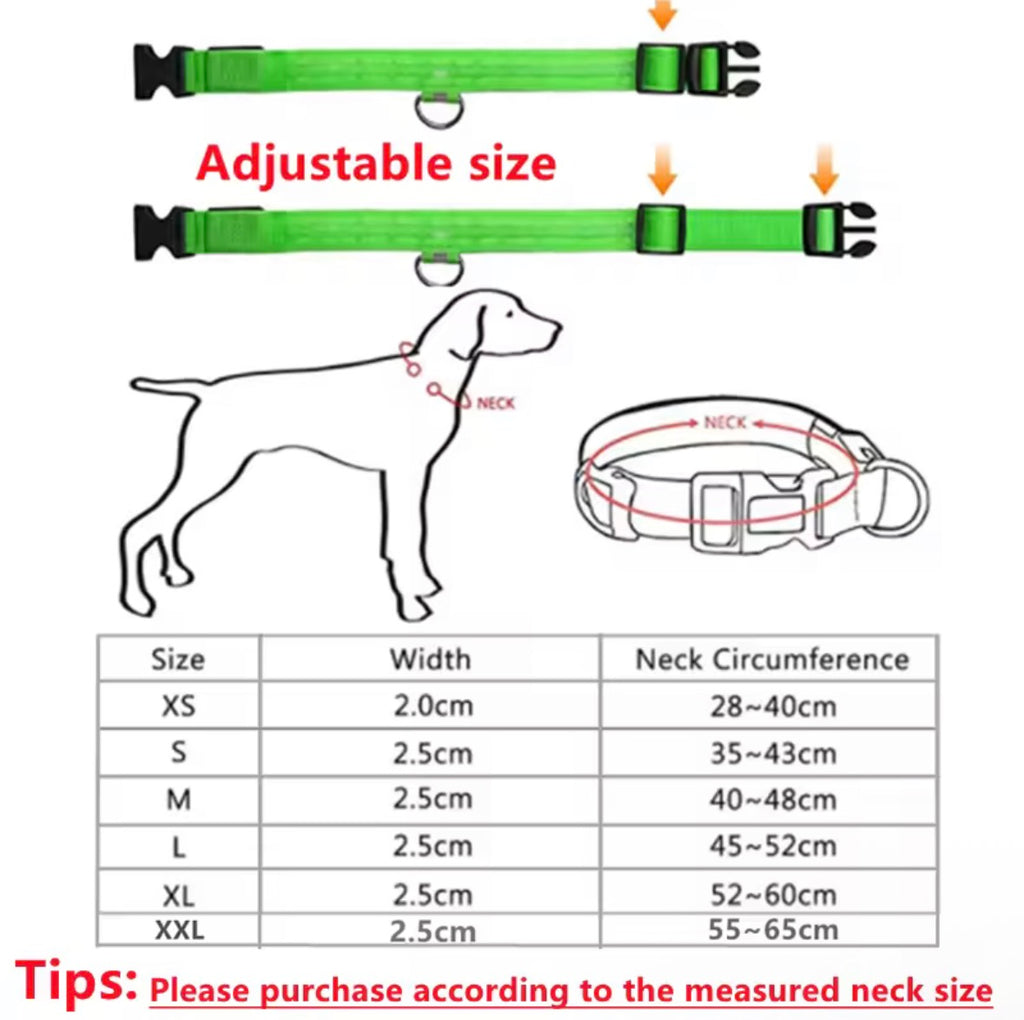 Adjustable Led Glowing Dog Collar
