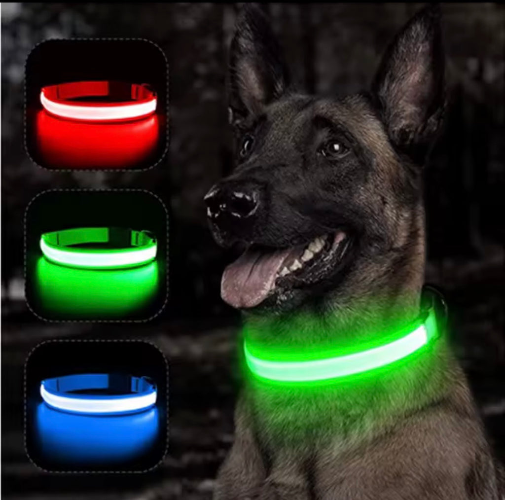 Adjustable Led Glowing Dog Collar