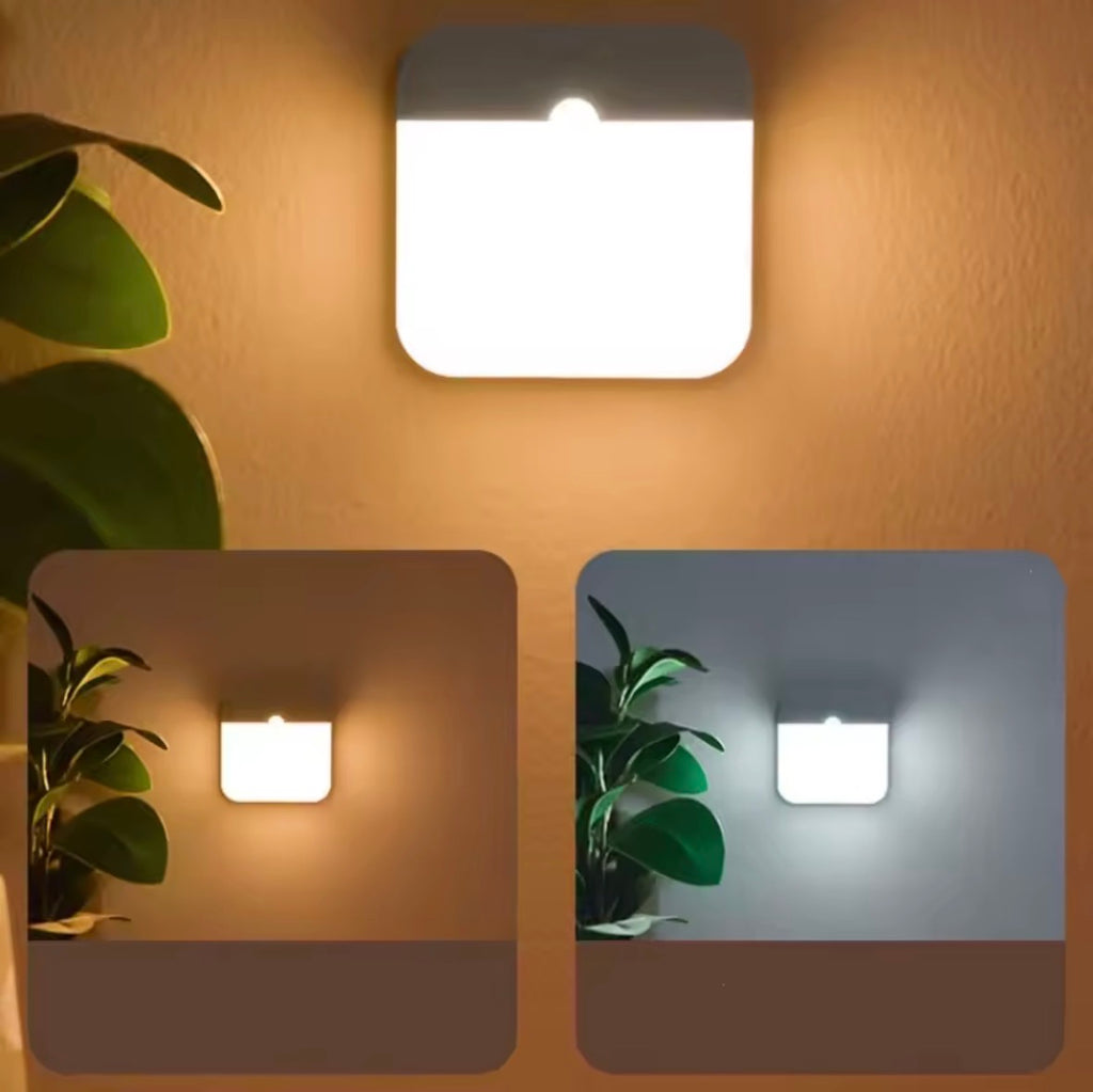 LED Motion Sensor Light