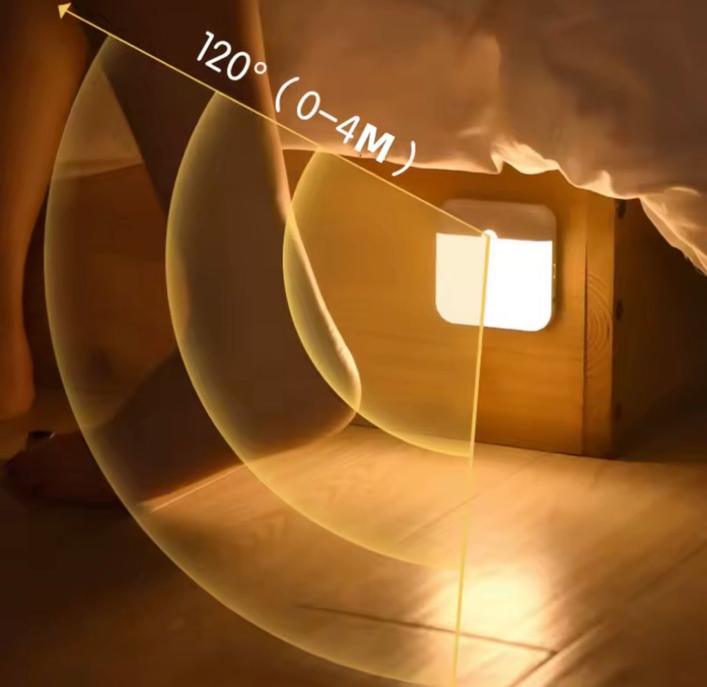 LED Motion Sensor Light